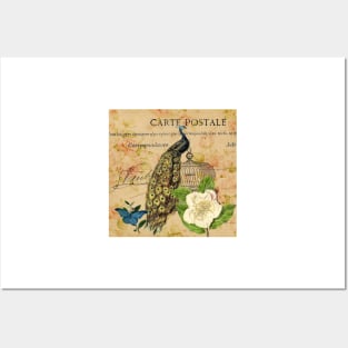 peacock white rose floral vintage botanical art Posters and Art